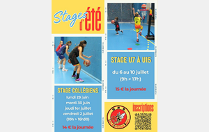 stages d'été